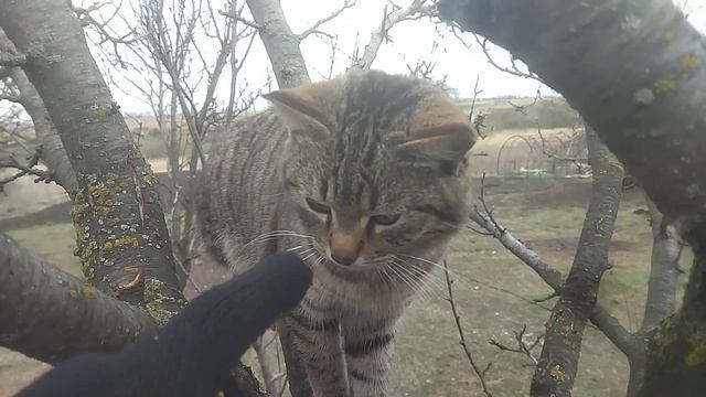 Серый тренируется 😉 смотреть онлайн