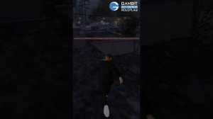 АДМИН БУДНИ! ЗАБАНИЛ ИГРОКА на GAMBIT RP в GTA SAMP #strizh #shorts #gambitrp #fullrp