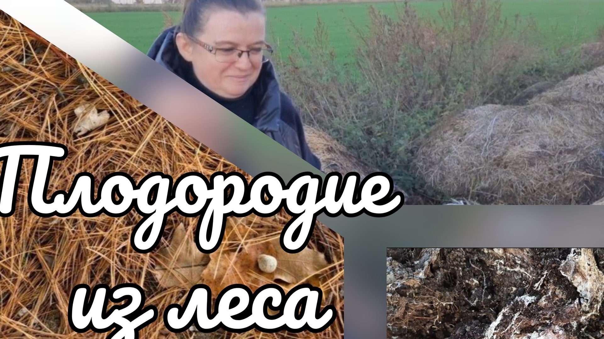 Как сделать почву плодородной смотреть онлайн