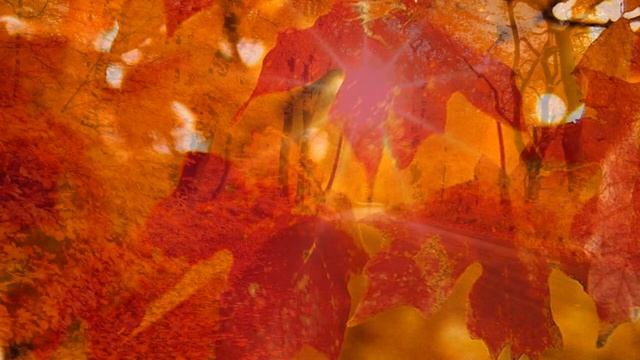 Не было печали, просто уходило лето... смотреть онлайн