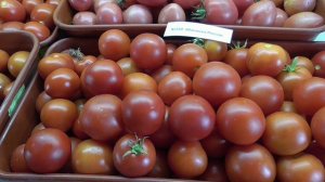 Томат Яблонька России завалит вас урожаем. №250. Дегустация томата.