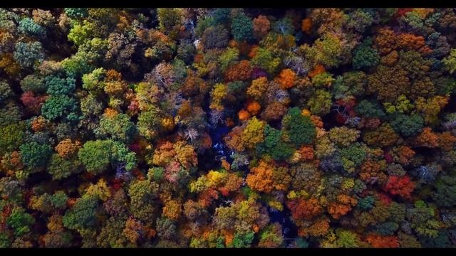 Prelude In C Major - Bach 528 Hz Solfeggio Frequency Miracle Tone смотреть онлайн