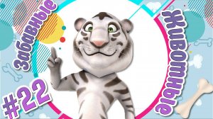 Забавные и Смешные Животные №22 + Приколы с Животными + Лучшие Подборки про Животных