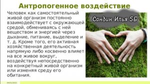 Призентация по теме:Влияние деятельности человека на экосистему моего города г. Барнаула