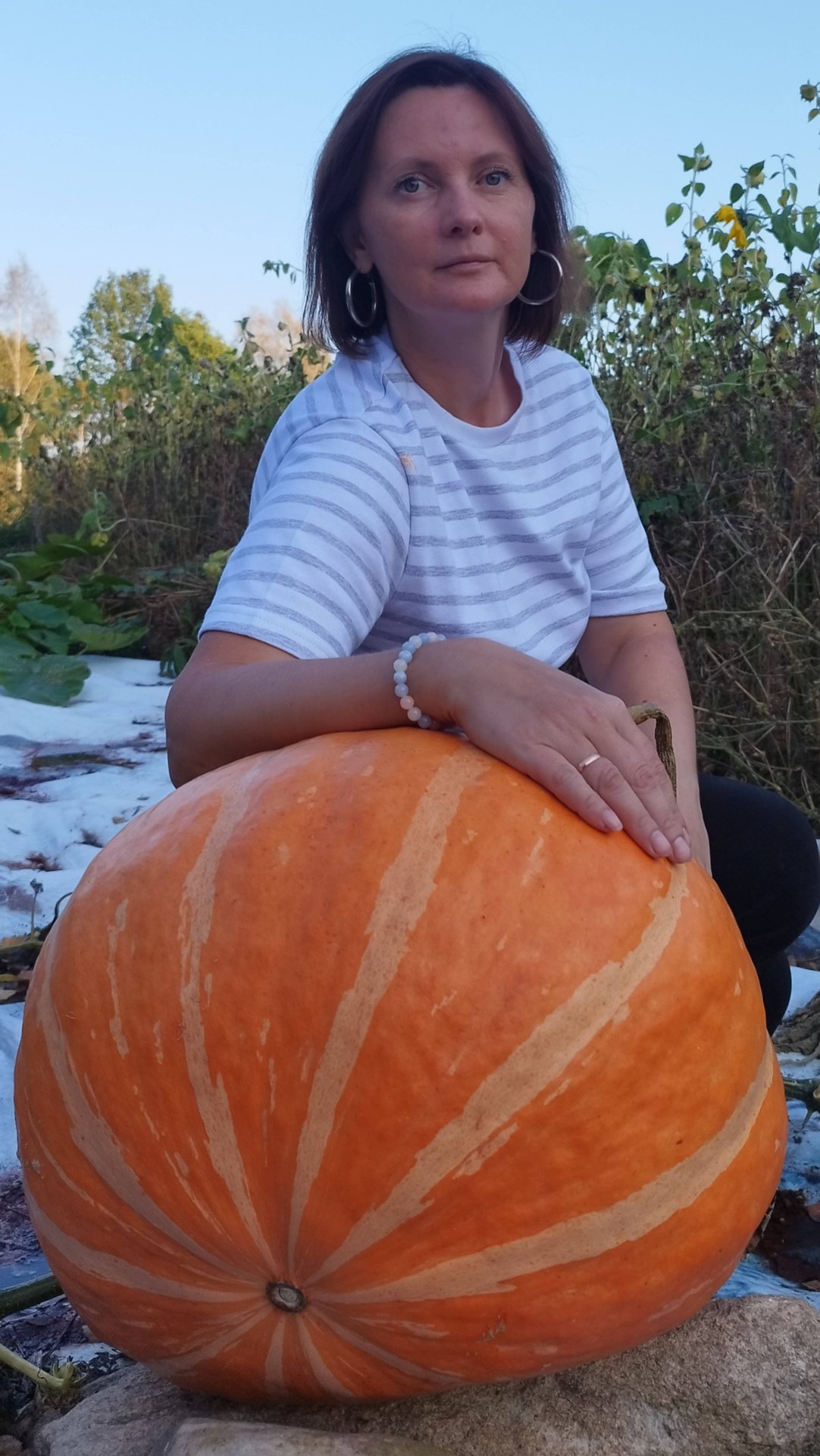 ЛЕСНАЯ ФЕРМА