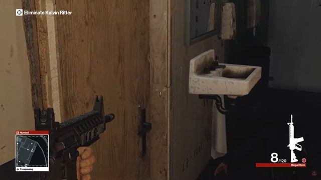 Hitman Pro