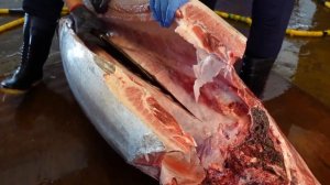 И все таки, тунец вреден для вас?