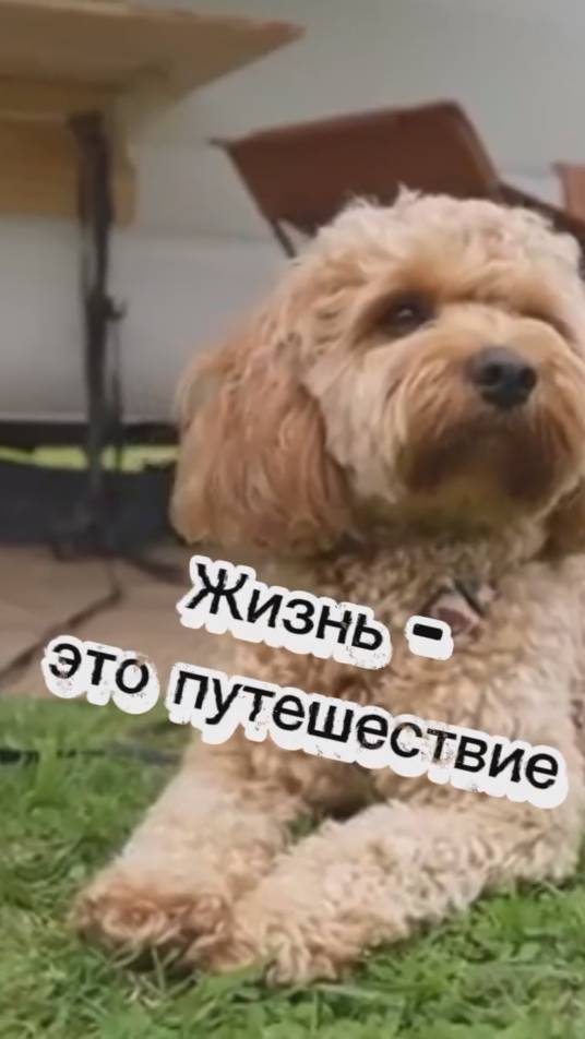 Автодом - это свобода от правил #автодома #доманаколесах смотреть онлайн