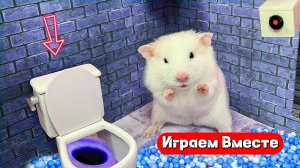 Помогаем Хомяку выбраться из тюрьмы для гениальных животных 🐹🐹🐹 Видео для детей 👍