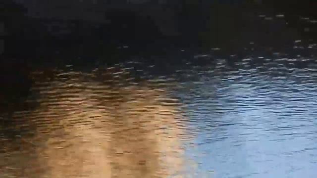 Утиные Истории - Тихие Воды смотреть онлайн