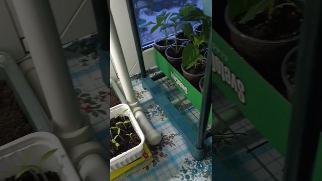 Начало смотреть онлайн