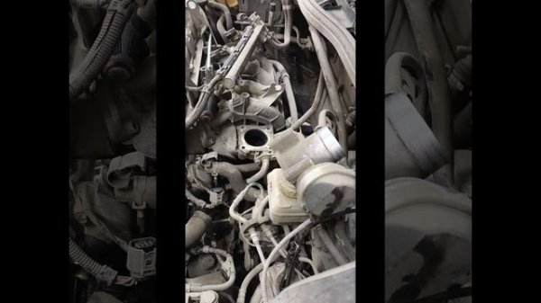 Шкода октавия часть 1