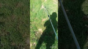 ржд гербицид в действии