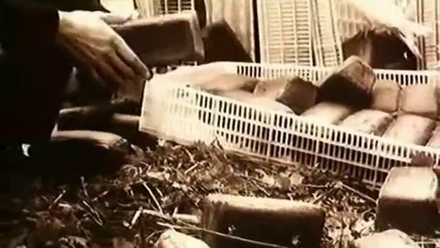 Посредник с.1 смотреть онлайн