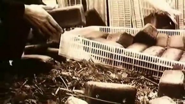 Посредник с.1