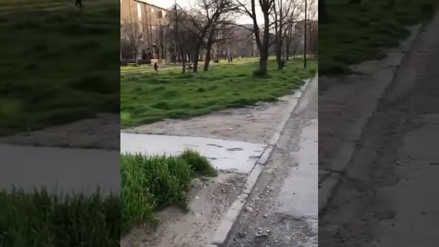 Создать парковую зону в «Научном городке» на видео просит житель Махачкалы смотреть онлайн