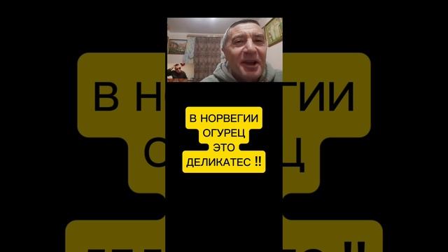 СЫТАЯ ЕВРОПА смотреть онлайн