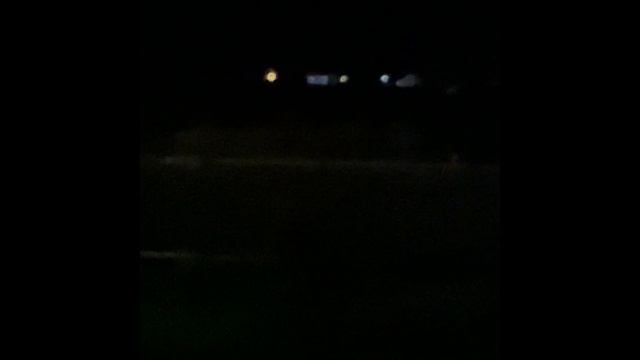 SCARY MANHUNT In My BACKYARD! Police Everywhere!