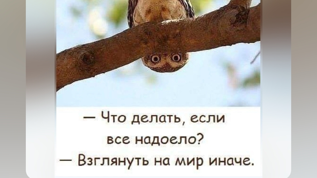 Самый тихий Шумобокс для квартиры, балкона лоджии для асиков L9 L7 S21 T21 л9 л7 с21 с19 т21 м50 м60