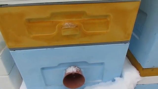 ужасы при зимовке пчел, все летки закрыты, как же пчелы дышат в улье и не погибают - часть 1 смотреть онлайн