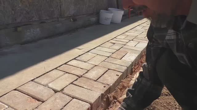 Тротуарная плитка и новый саженец смотреть онлайн