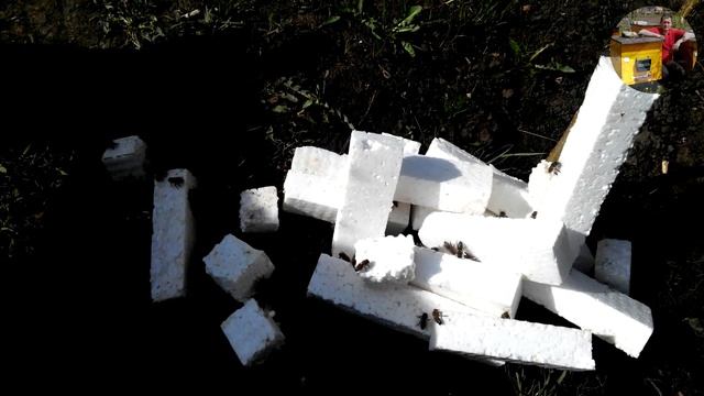 7. Поїлка для бджіл з підігрівом | Поилка для пчел с подогревом смотреть онлайн