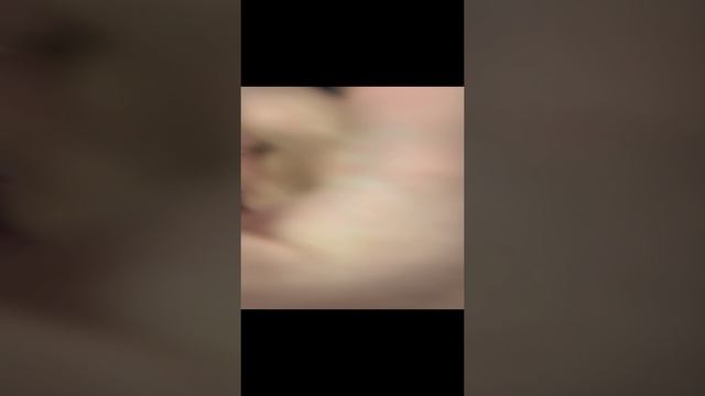 Заклепочник Milwaukee смотреть онлайн