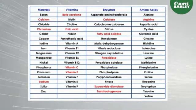 Sante Barley Product Training😱😱 KNOWLEDGE CELL DAMAGE AND TISSUES 😱😱 смотреть онлайн