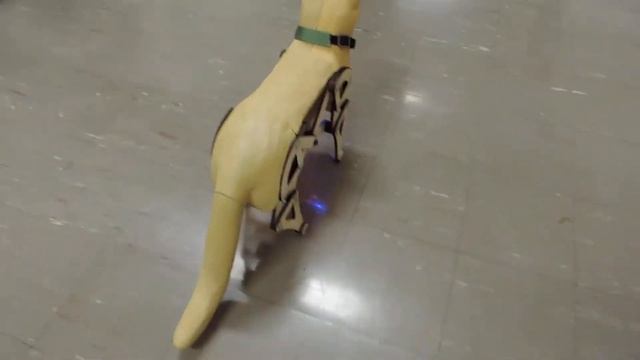 Bionic Cat смотреть онлайн