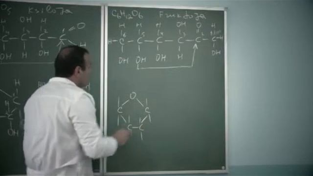 Uglevodlar Haqida Batafsil