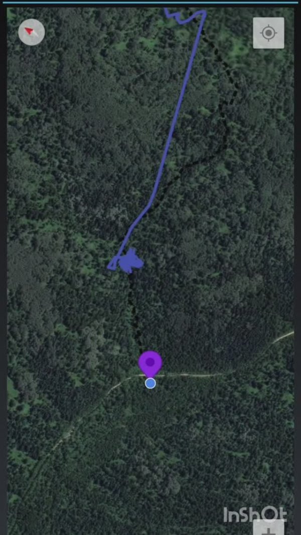 Обзор ошейника HUNTER 25000 PRO