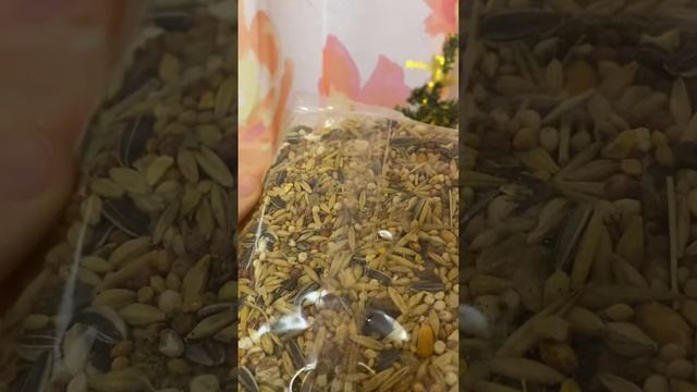 ИТАЛЬЯНСКИЙ КОРМ PINNY,честный обзор😽 смотреть онлайн