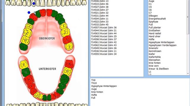GSD-Radionik(R) Wirbelsäule, Zähne смотреть онлайн