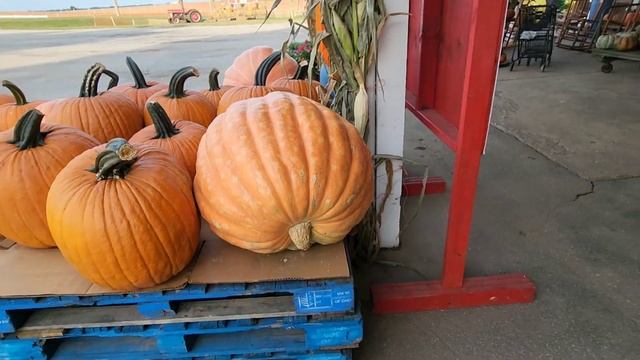 БАЗАРЧИК У НАС НА ХУТОРЕ // США смотреть онлайн