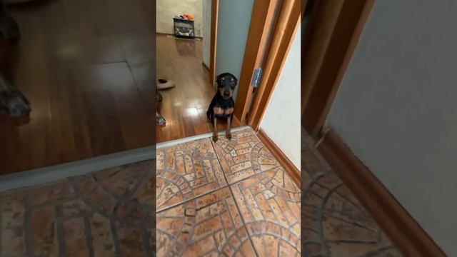 Доброе утро))) смотреть онлайн