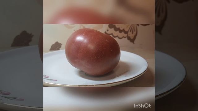 Обзор сорта томата Голубые небеса смотреть онлайн