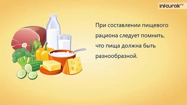 36. Нормы и режим питания. Нарушение обмена веществ смотреть онлайн