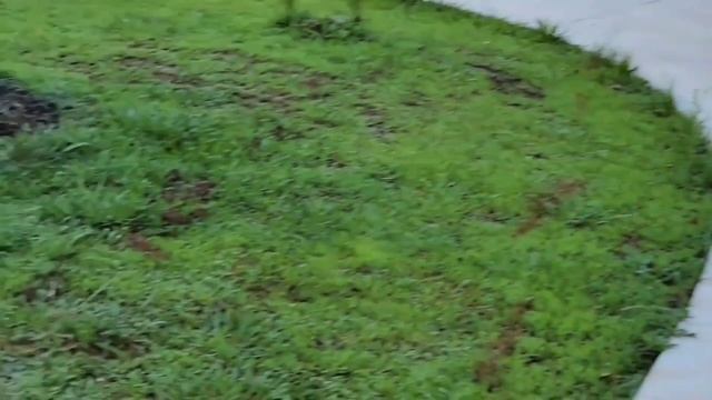 ЖИЗНЬ В АМЕРИКАНСКОЙ ДЕРЕВНЕ. смотреть онлайн