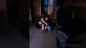 Бешенство матки