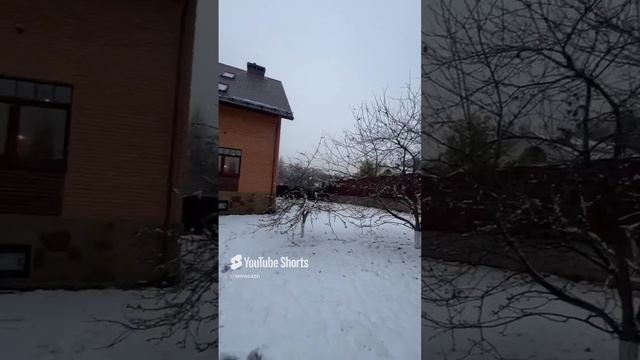 Кирполье удивляет 😎#купитьдом #купитьнедвижимость #дом #home смотреть онлайн