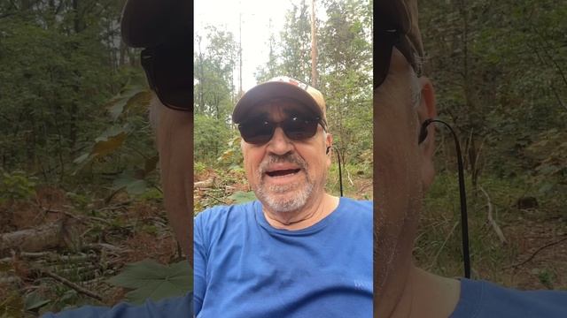 Догогая… смотреть онлайн