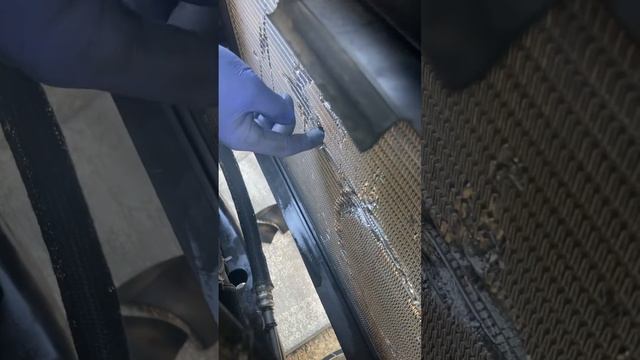 392 Dodge Challenger Cooling Fan Damage смотреть онлайн