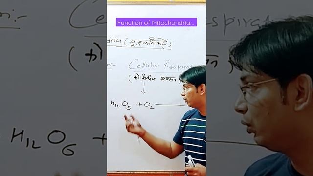 Function of Mitochondria.. By Radhey Sir.... #upsc #ias #cds #nda #viral #shortsvideo #trending смотреть онлайн