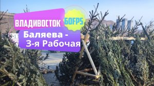 Владивосток декабрь 2024