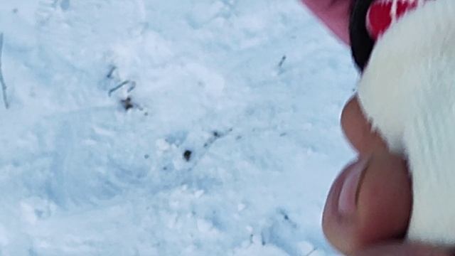 Дети России. смотреть онлайн