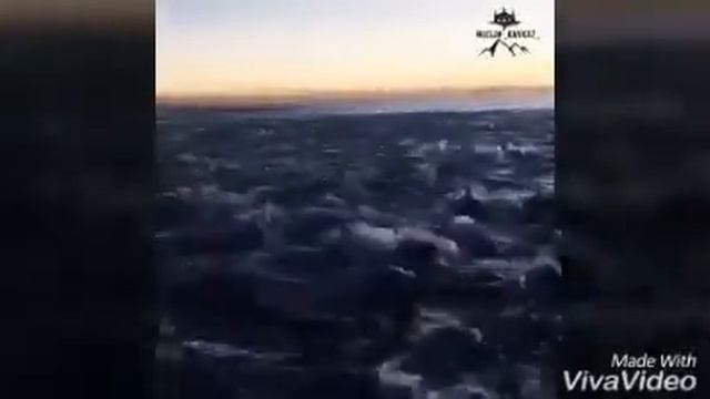 туыскандар смотреть онлайн