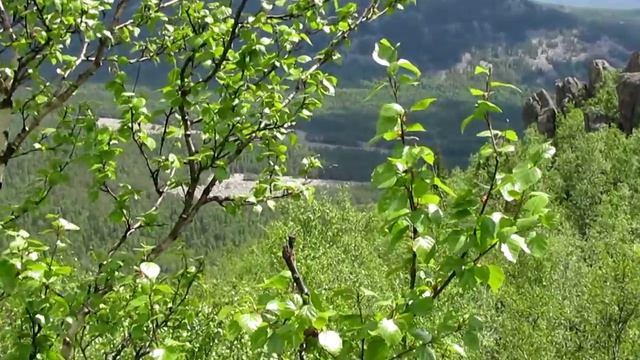 У вершины Двуглавой сопки. смотреть онлайн