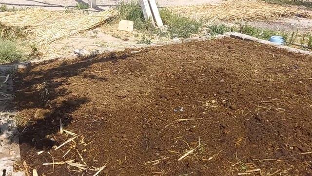 N88. Биогумус дар Точикистон. Дам олиш кундаги ишларимиз. тел. 929312345.