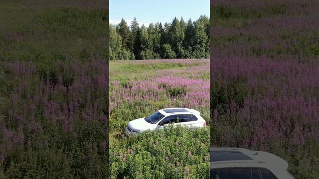 #тигуан #tiguan #tiguan2  #tiguanrline #фольцваген #ваг #тачки #машина #