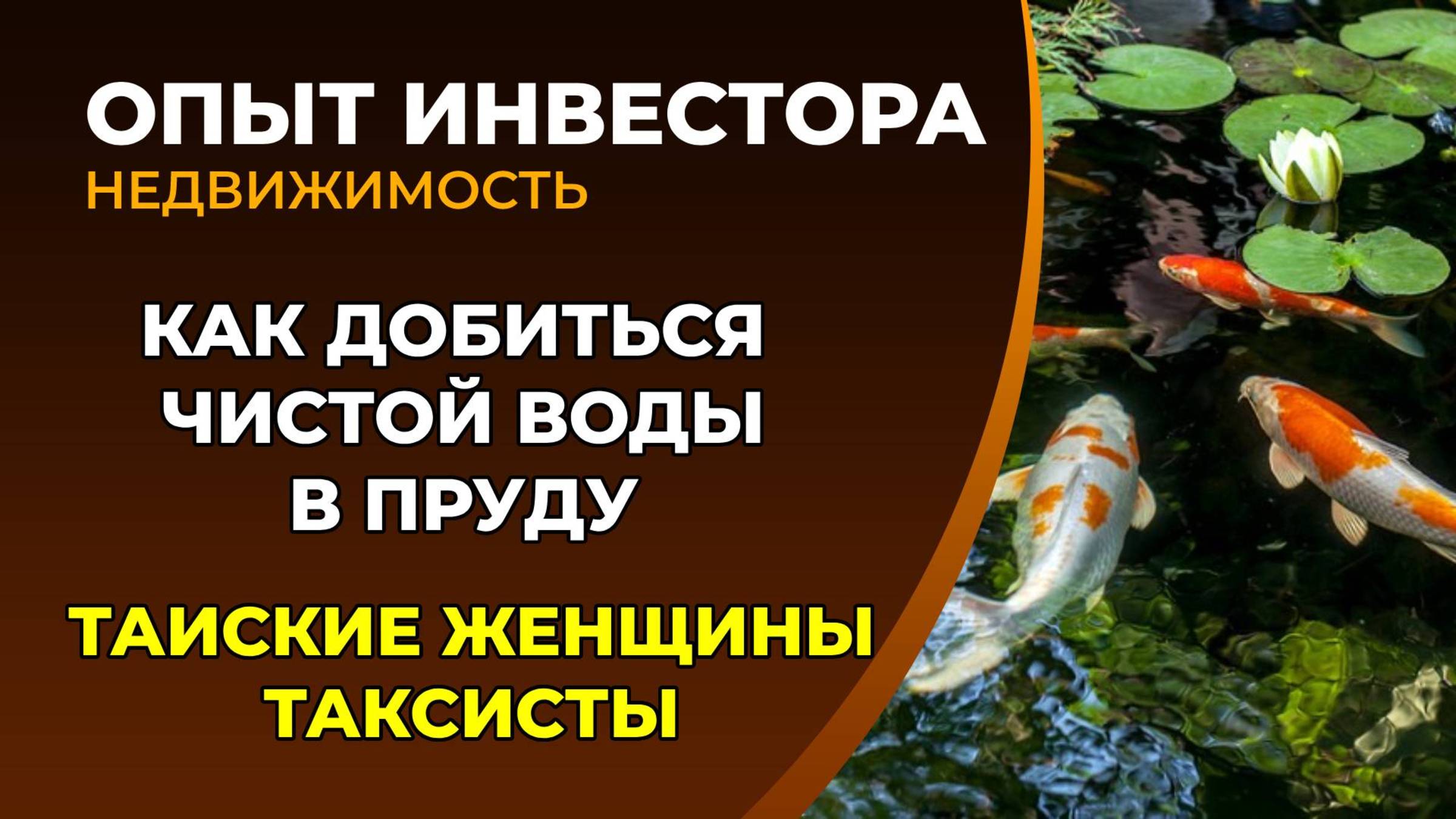 Устройство пруда с чистой водой. Женщина за рулем смотреть онлайн